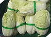 VEGETABLES