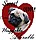 VODAFONE PUG PUPPY'S ARE AVALABLE, photo 3