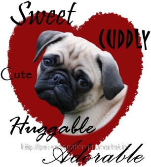 VODAFONE PUG PUPPY'S ARE AVALABLE, price ₨ 25,000 /pc(s)., buy ...