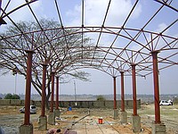 Trees