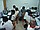 Piping Course In Chennai, photo 4