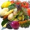 Offer to sell Fresh Fruits & Vegetables
