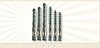 V-Guard Bore Well Submersible Pumps