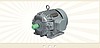V-Guard Three Phase Motors